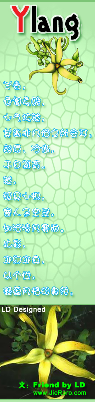 LD Poem 诗